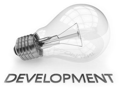 professional software development